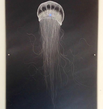 Gallery 66 NY-冷泉必去景点