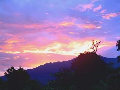 Cloud Forest Botanicals景点图片
