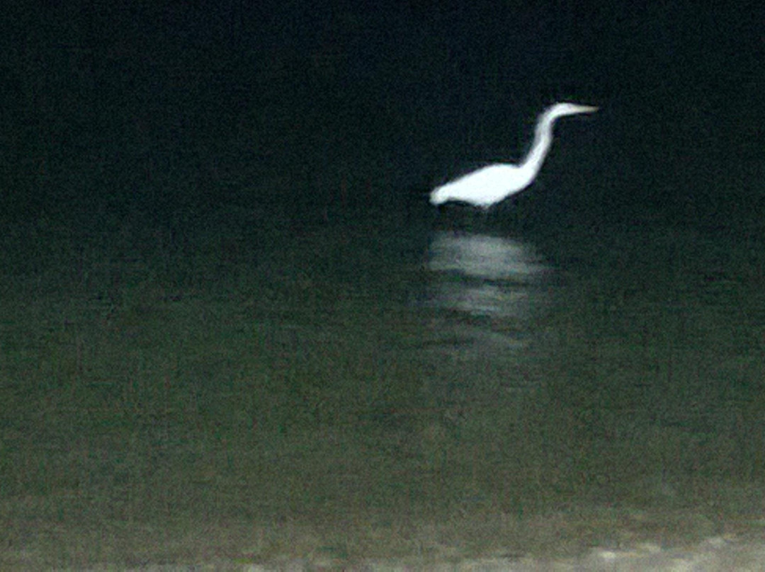 Ribeirao da Ilha-弗洛里亚诺波利斯必去景点