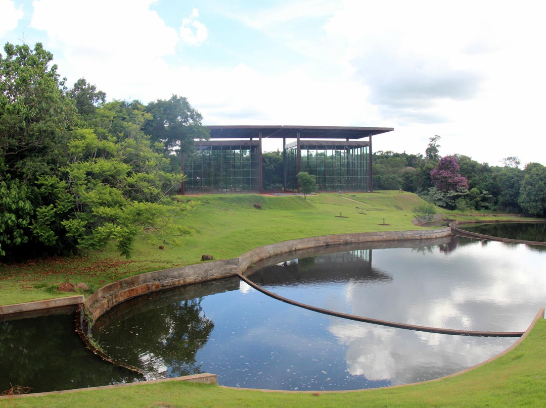 Jardim Botanico de Londrina景点图片