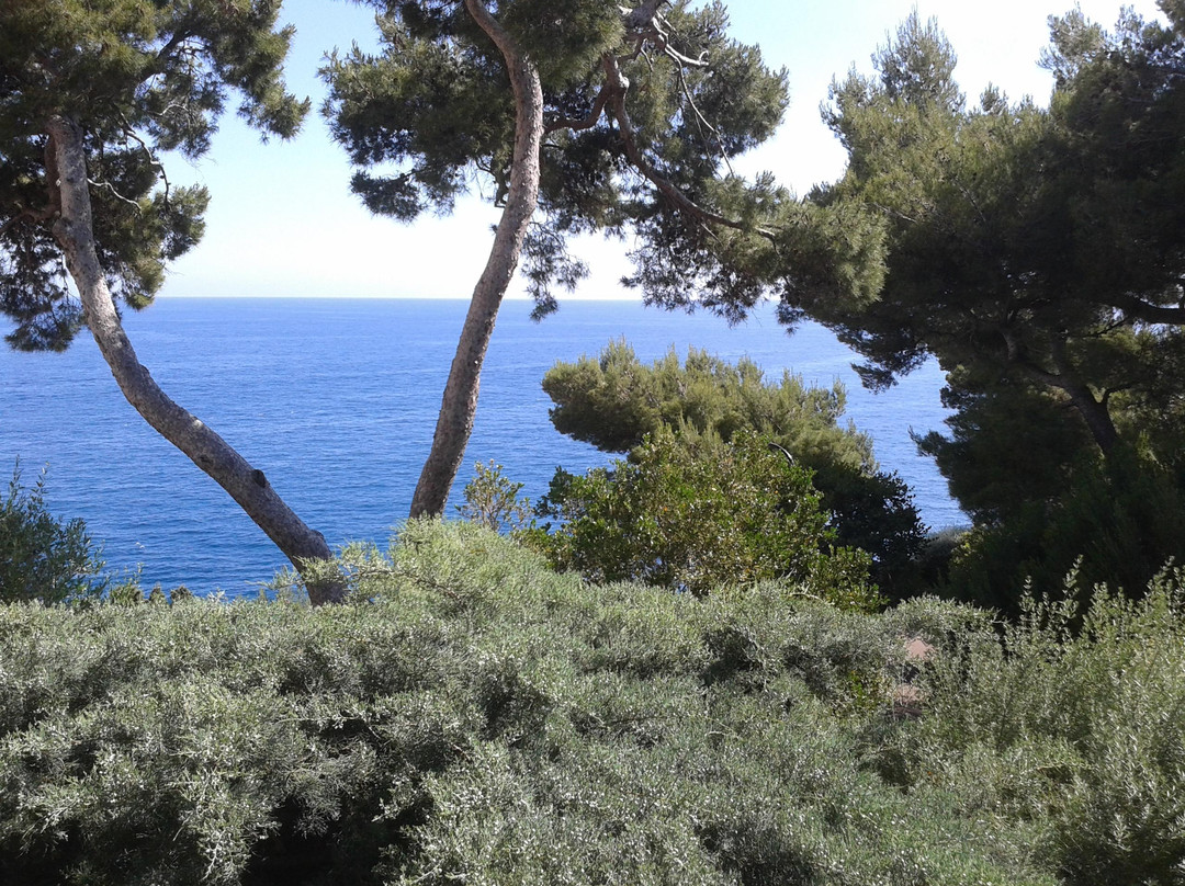 Princess Grace Botanical Garden-摩纳哥城必去景点