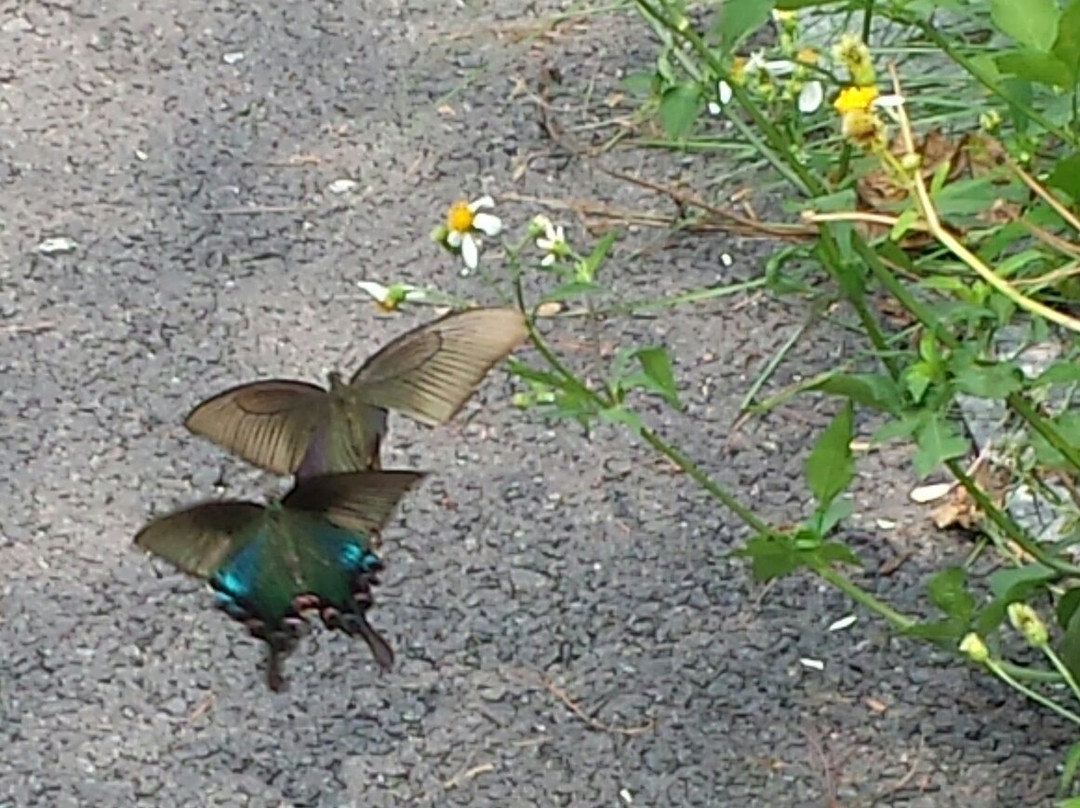金钟水库-中山市必去景点