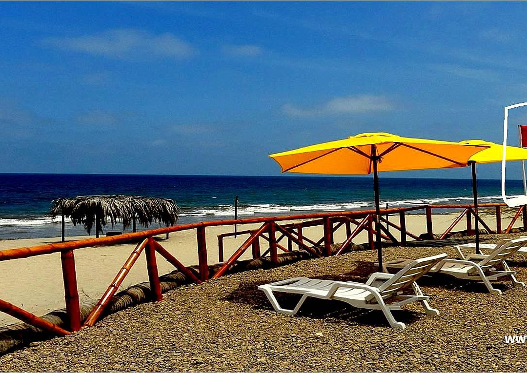 Punta canoas Bungalows主图