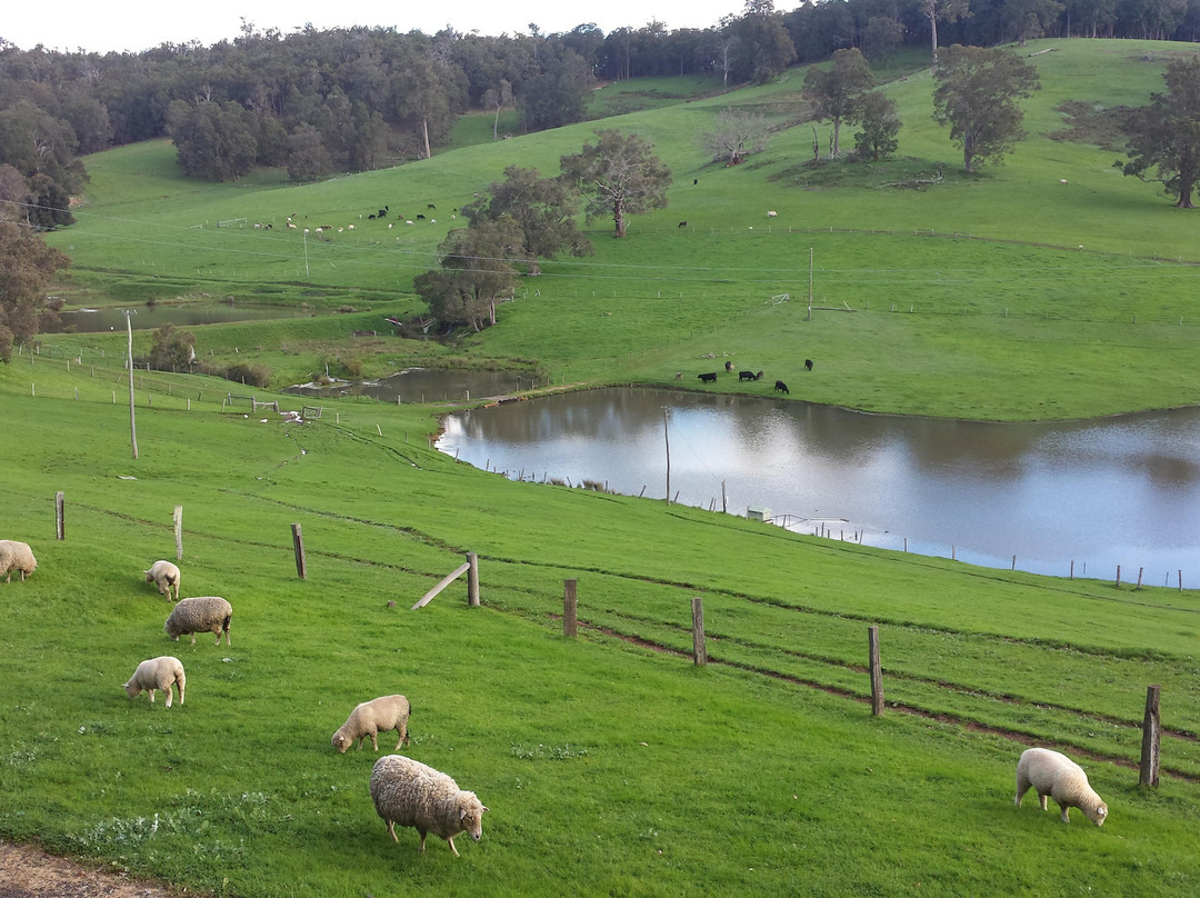 Kirup Kabins Farmstay