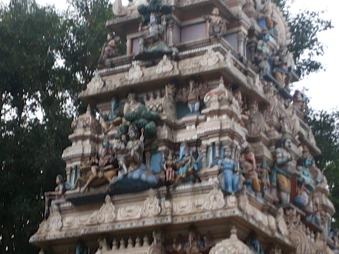 Shree Dodda Ganapathi Temple景点图片