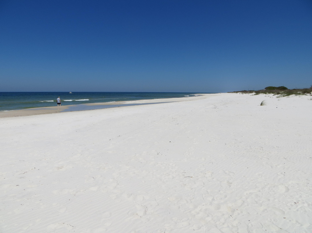 Cape San Blas景点图片