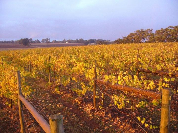 Pierrepoint Wines-Tarrington必去景点