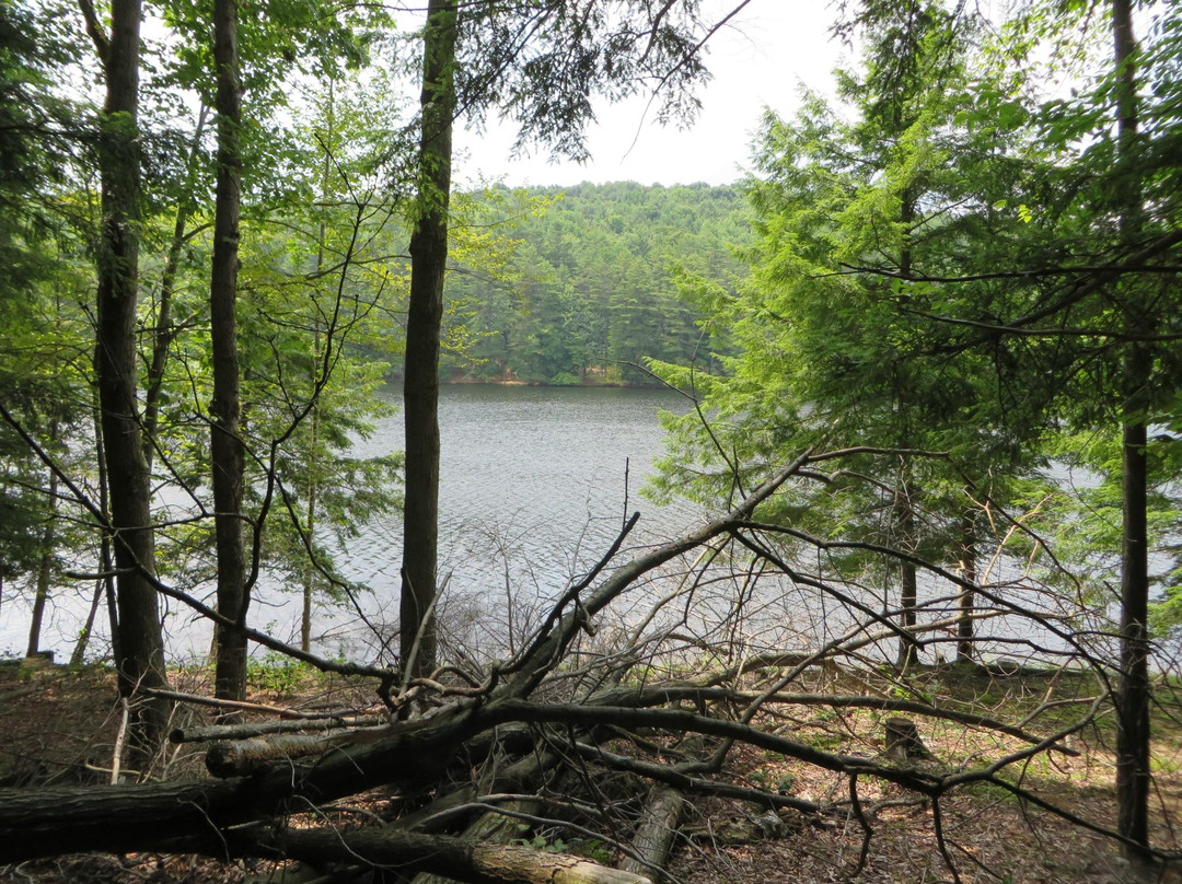 Gilbert Lake State Park-Laurens必去景点