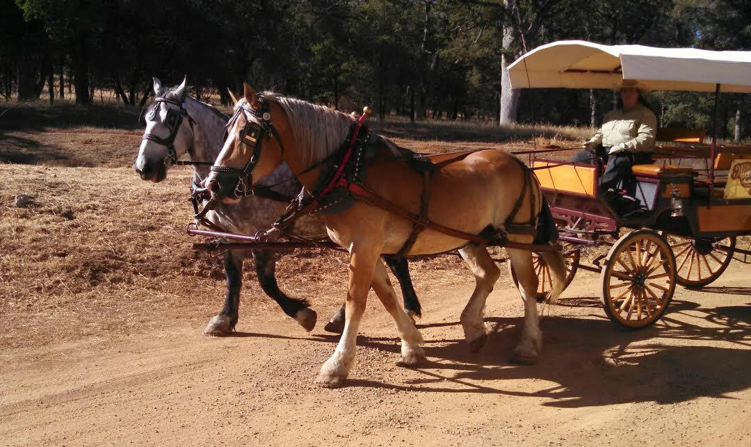 Mariposa Stage Line-马里波萨必去景点