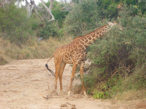 Adventure Mara Tours-蒙巴萨必去景点