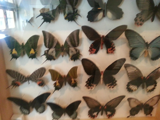 California Oil Museum-Santa Paula必去景点