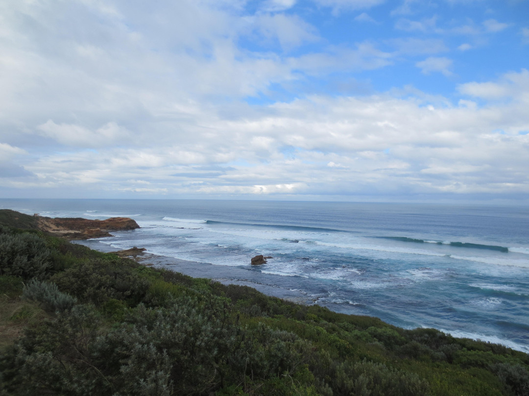 Portsea Back Beach景点图片