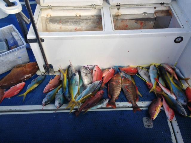 Odyssey Fishing Charters景点图片