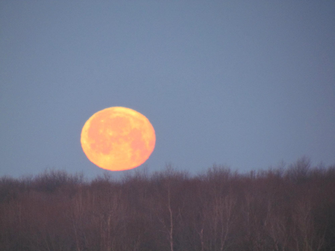 Mystic Meadow B&B主图