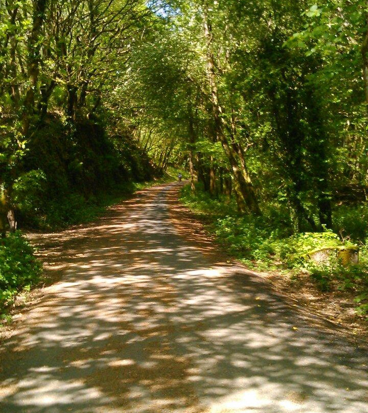 Plym Valley Cycle Trail-普利茅斯必去景点