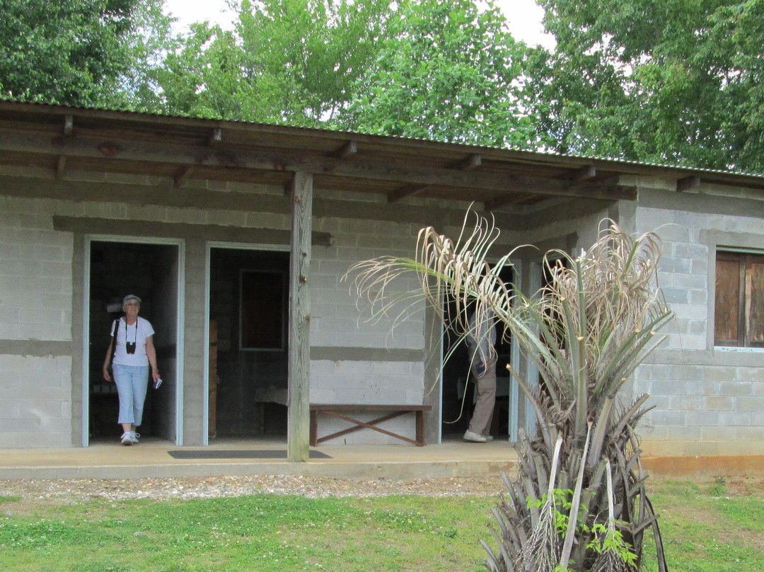 Global Village and Discovery Center-Americus必去景点