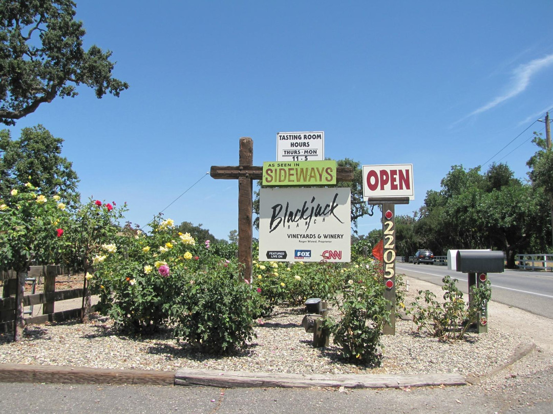 Blackjack Ranch Vineyards and Winery-索尔万必去景点
