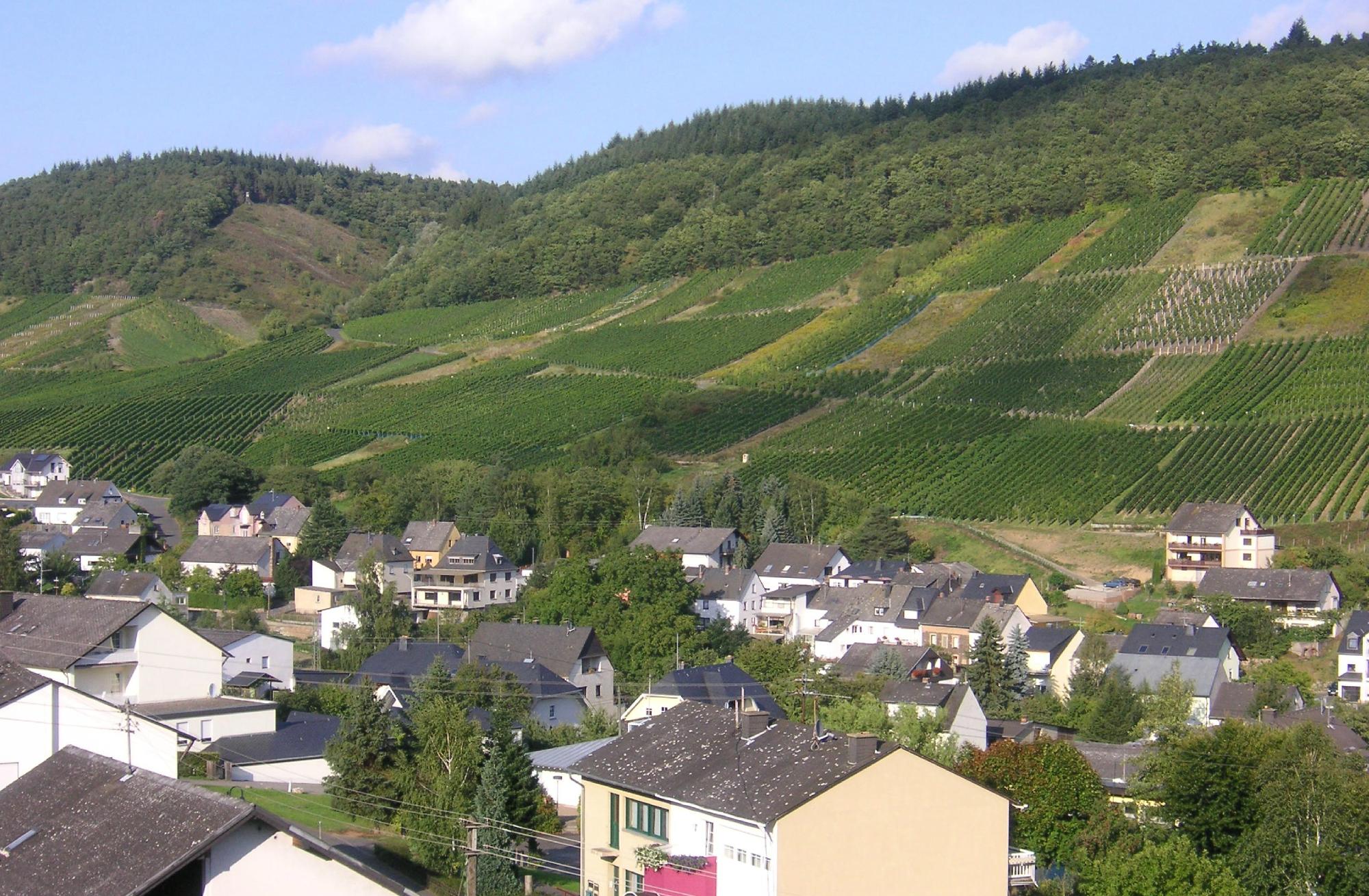Landhaus Kuntz-客卧