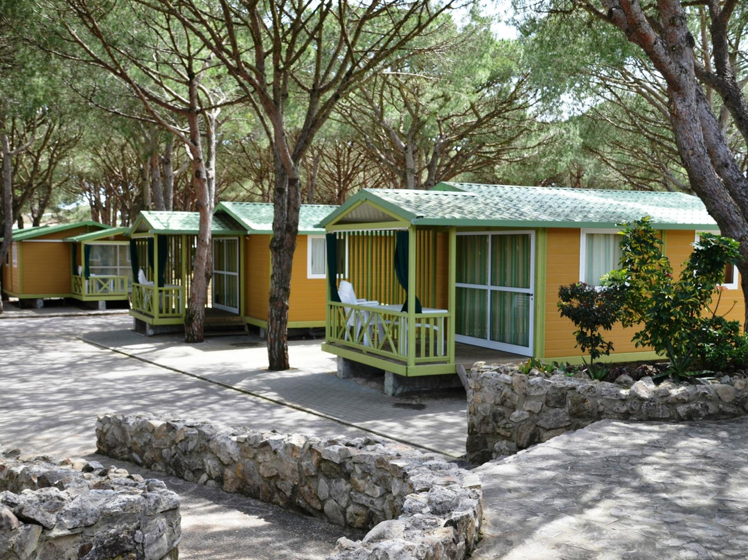 Camping & Bungalows Canos de Meca