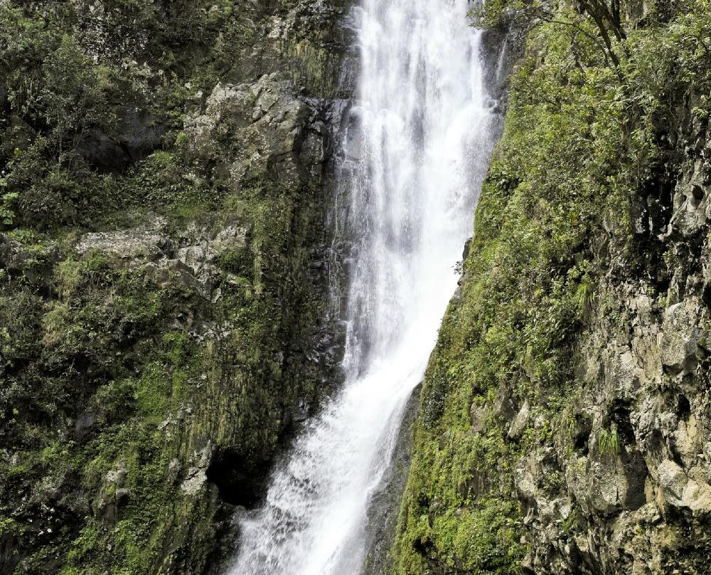 Halawa Falls-摩洛凯岛必去景点