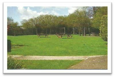 Madley旅游攻略图片