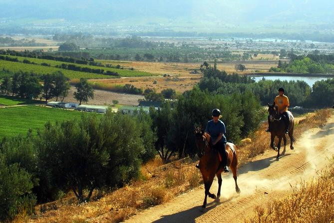 Fynbos Trails-惠灵顿必去景点