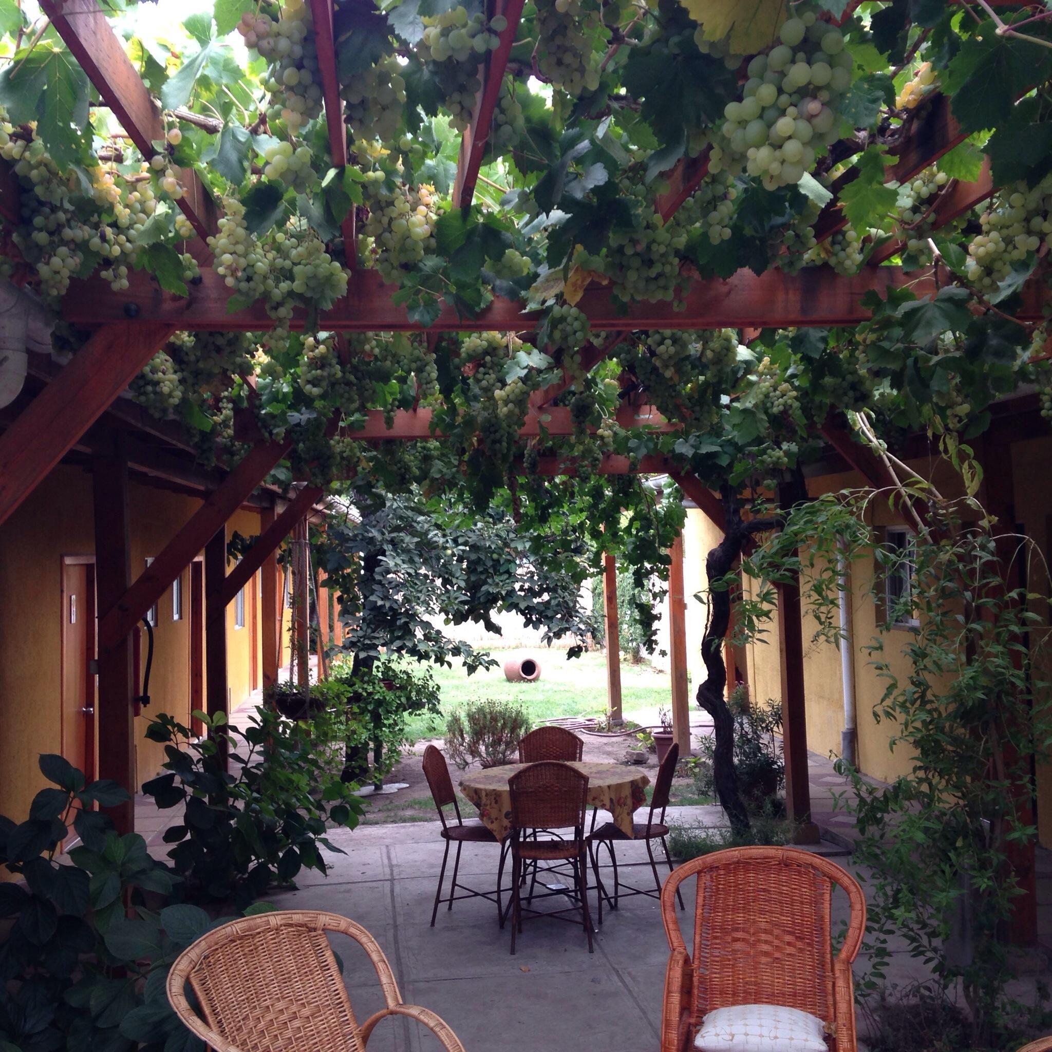 Hostal Colchagua-客卧