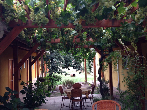 Chepica酒店住宿-Hostal Colchagua