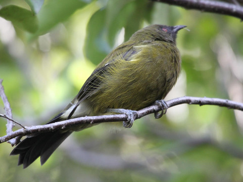 瓦纳卡生态之旅-瓦纳卡必去景点