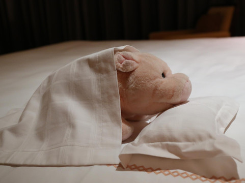 金光大道澳门四季酒店主图