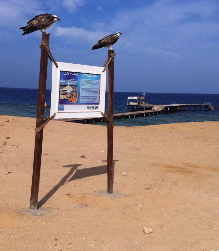ZaBaRGaD House Reef-Hamata and Berenice必去景点