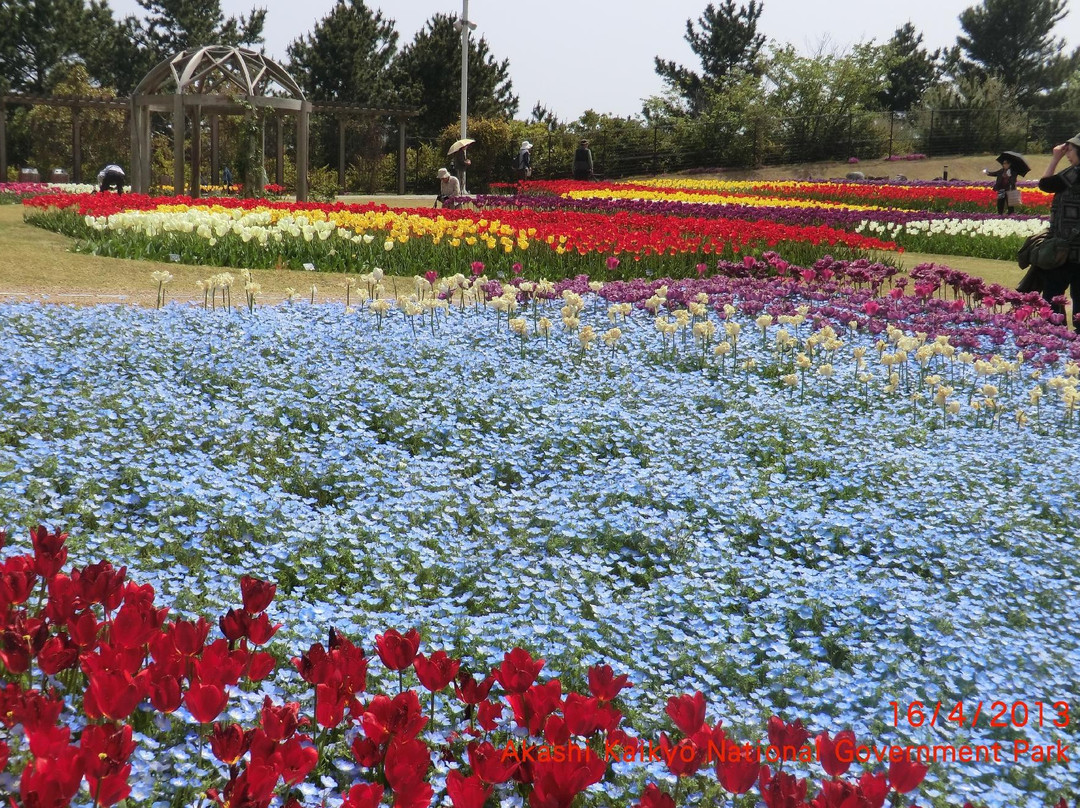 Awajishima Park-淡路市必去景点