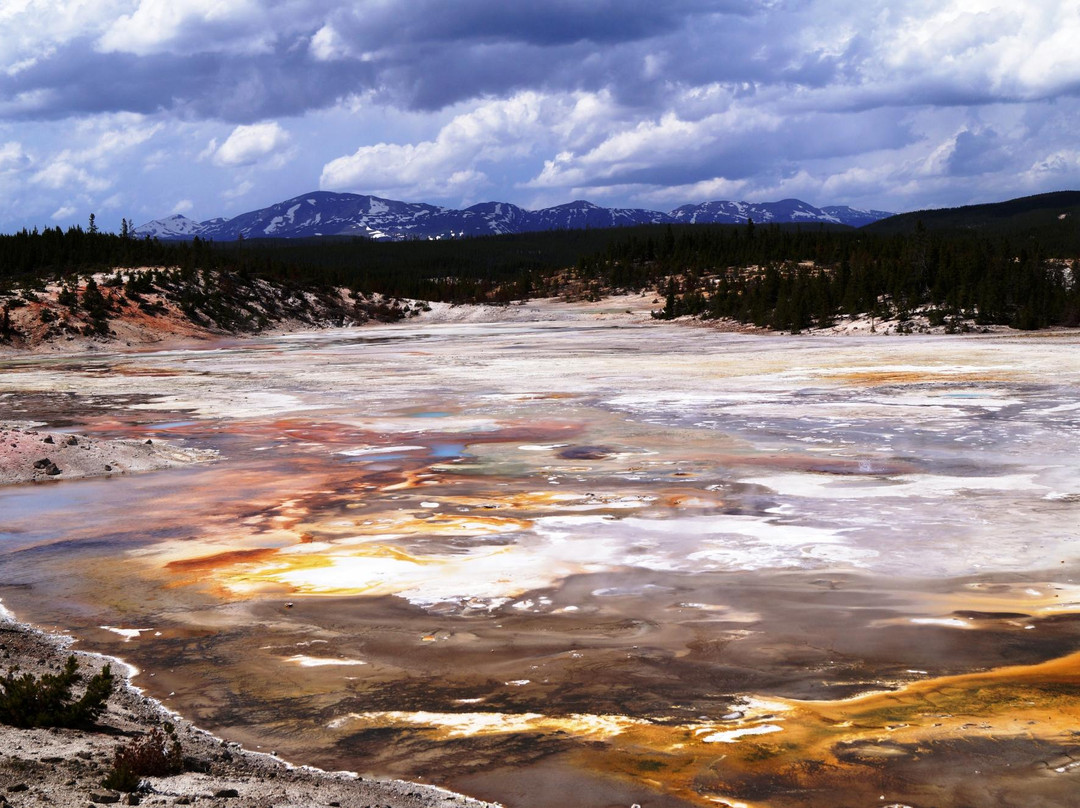 诺里斯间歇泉盆地-黄石国家公园必去景点