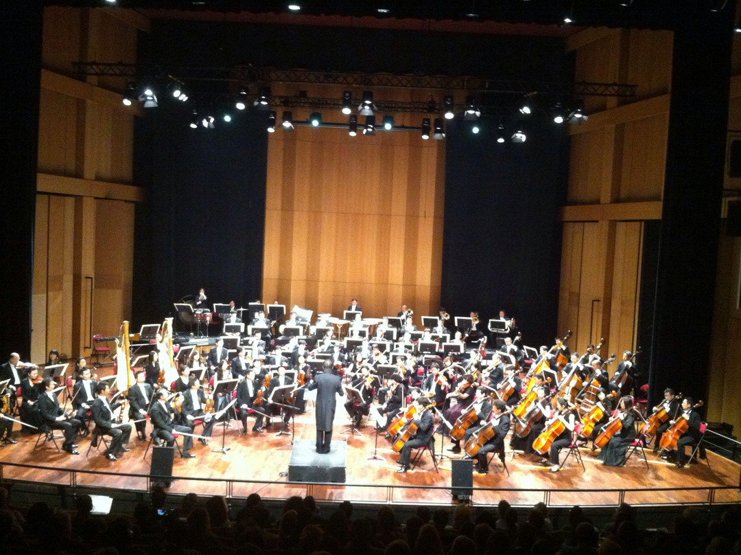 Conservatoire National à Rayonnement Régional-尼斯必去景点