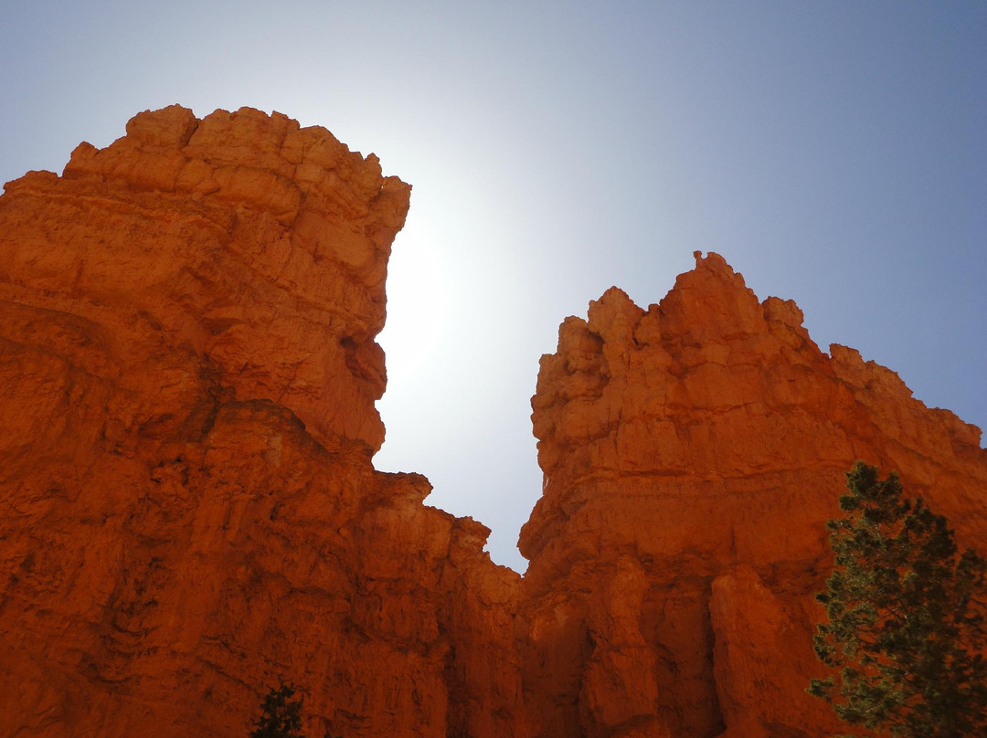 Under-the-Rim Trail-布莱斯峡谷国家公园必去景点