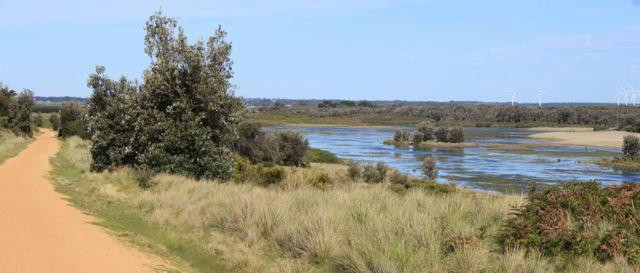 Bass Coast Rail Trail-Wonthaggi必去景点