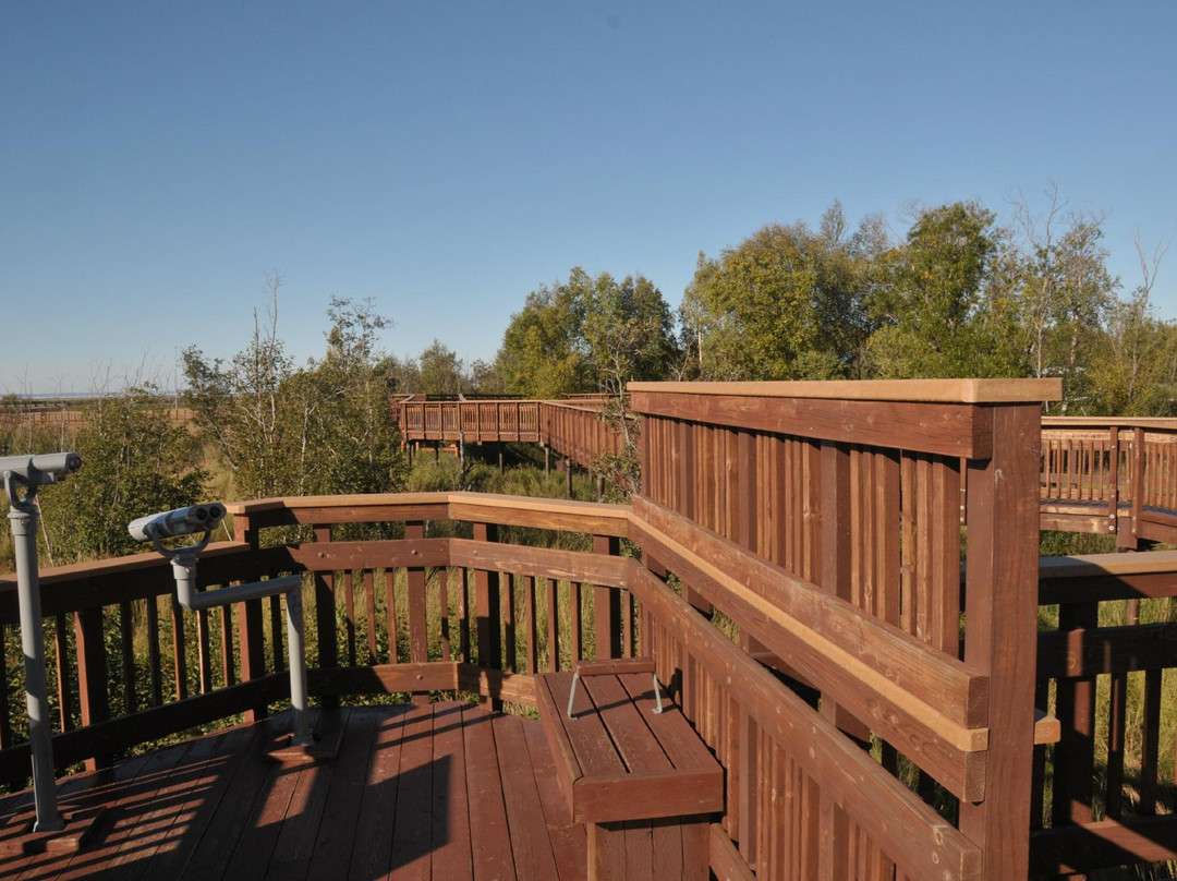 Potter Marsh Bird Sanctuary-安克雷奇必去景点