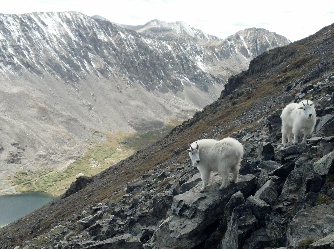 Quandary Peak-布雷肯里奇必去景点