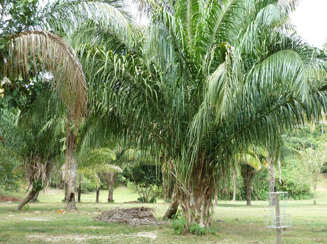 El Chocolatal Golf Eco Resort-Rurrenabaque必去景点