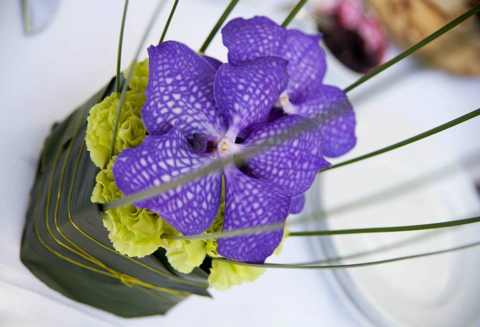 Kadò flowerdesign景点图片