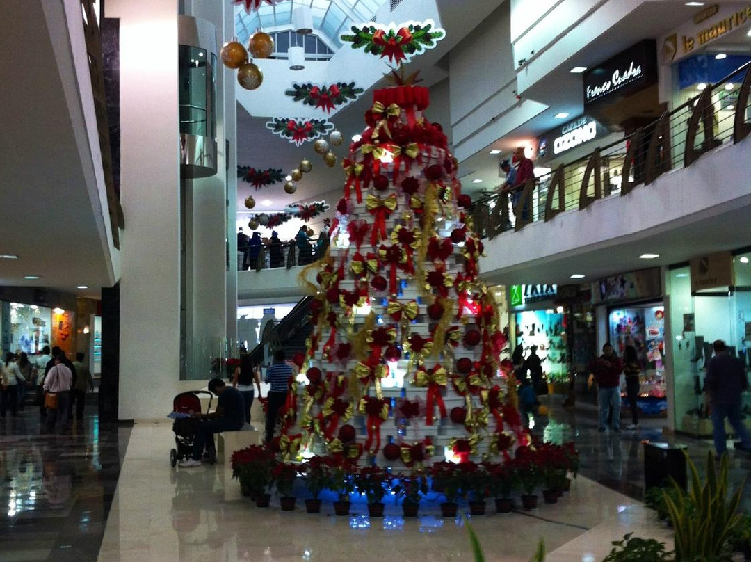 Plaza del Zapato-利昂必去景点