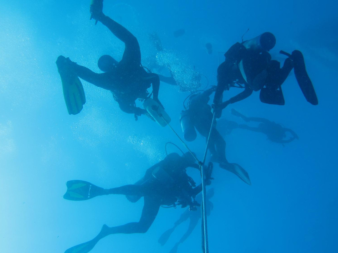 Caribbean Emerald Yacht Charter - Day Tours景点图片