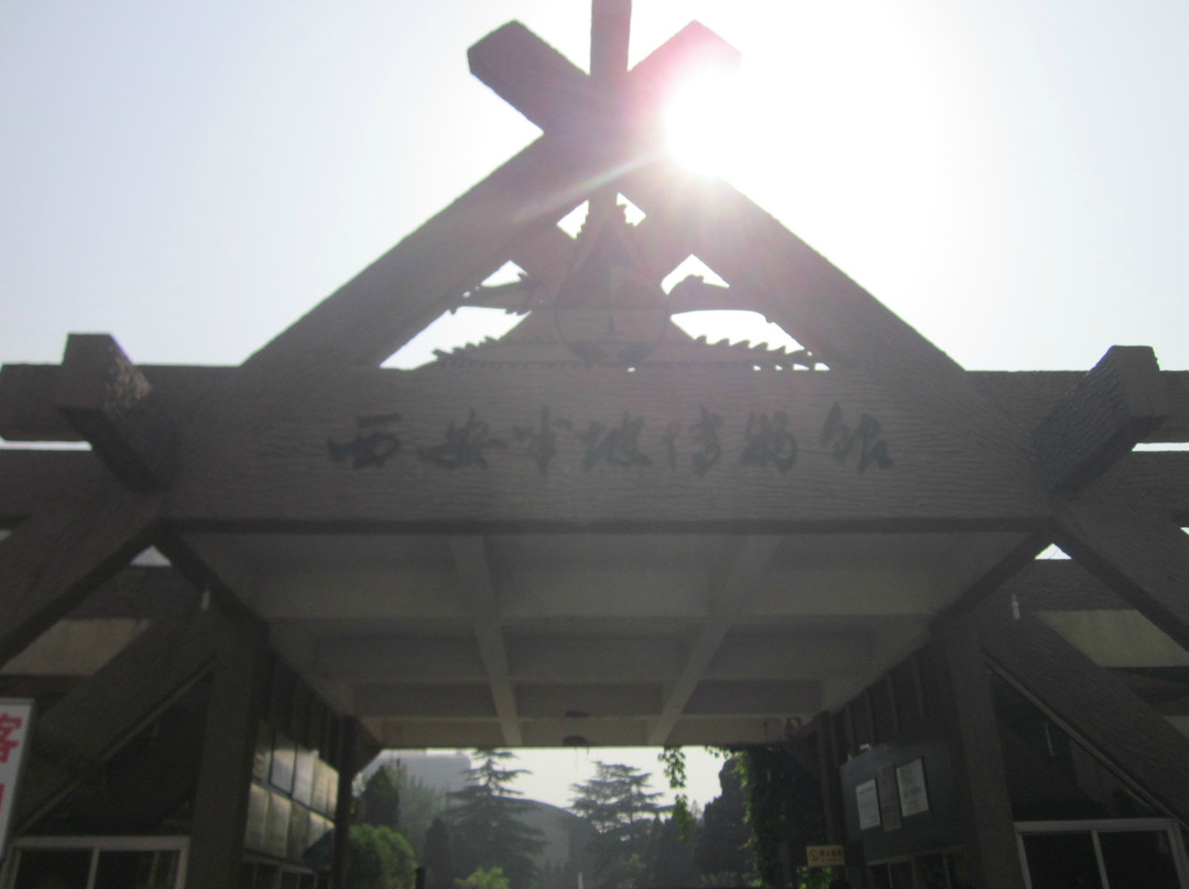 西安半坡博物馆-西安市必去景点