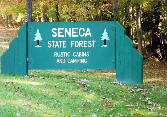 Seneca State Forest景点图片