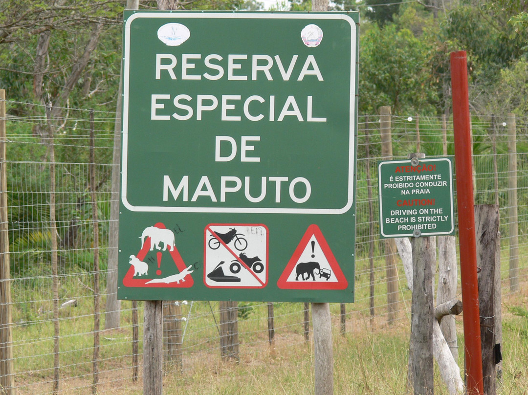 Maputo Special Reserve-马布多必去景点