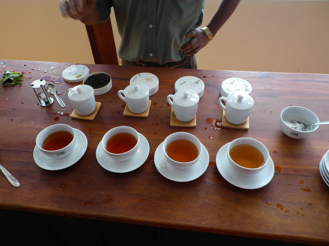 Halpewatte Tea Factory Tour-埃勒必去景点