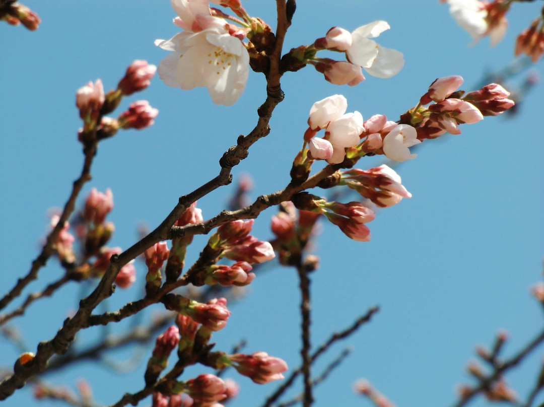 京门大桥-江东区必去景点