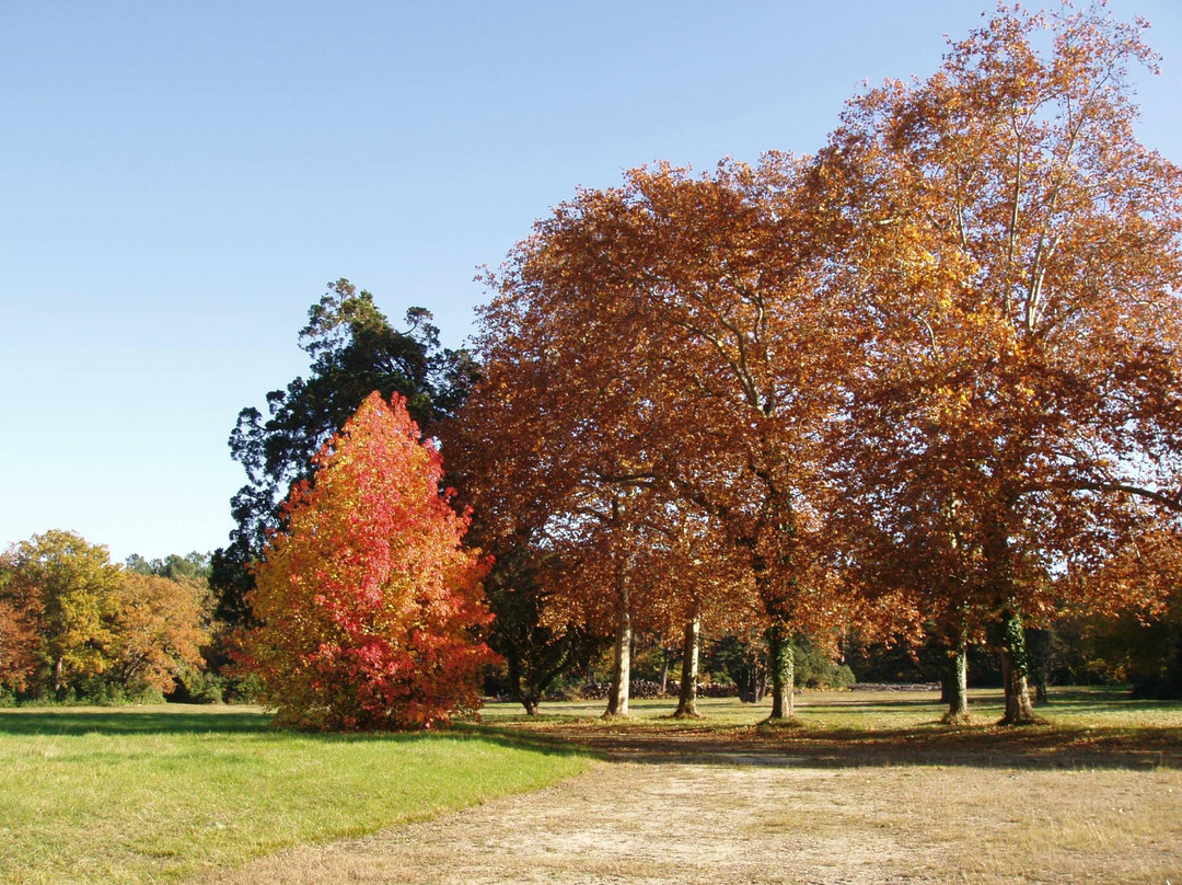 Domaine de Grenade景点图片