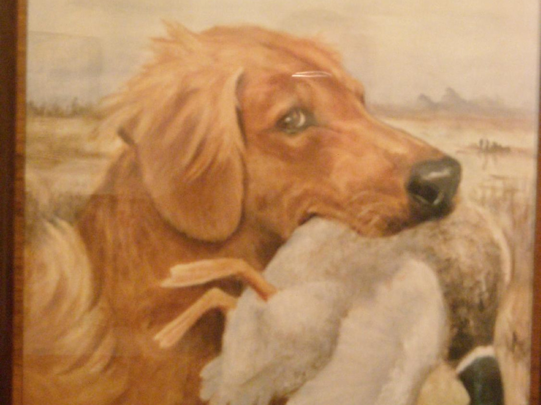 National Bird Dog Museum景点图片