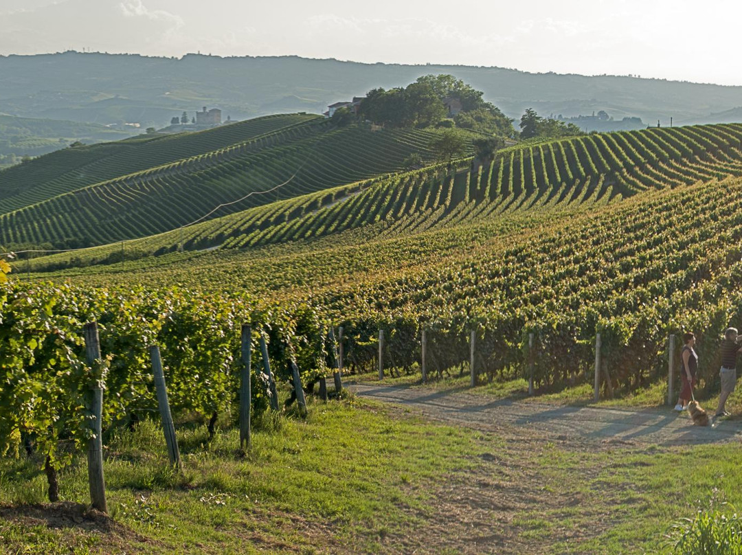 Strada del Barolo e Grandi Vini di Langa-Castiglione Falletto必去景点